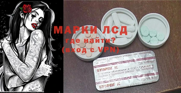 трава Няндома