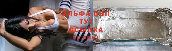 трава Няндома