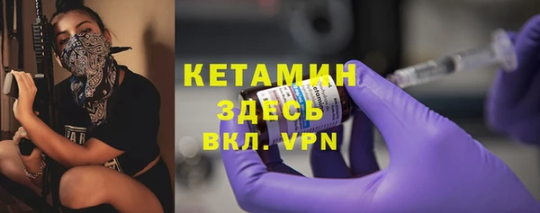 трава Няндома