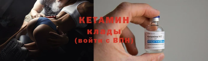 трава Няндома