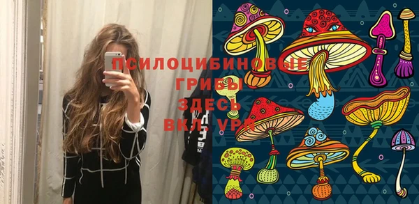 трава Няндома
