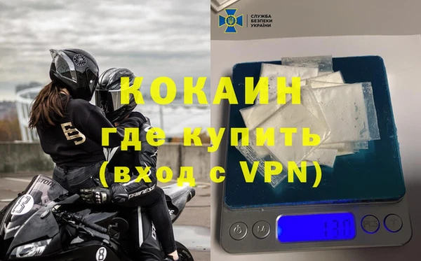 трава Няндома