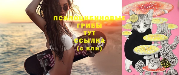 трава Няндома