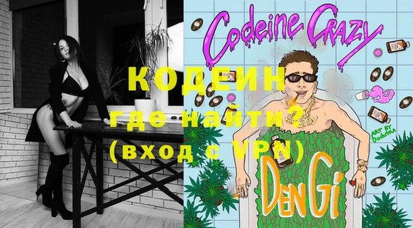 трава Няндома