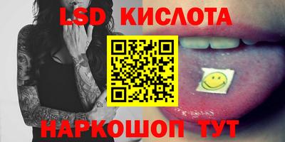 шишки Новодвинск
