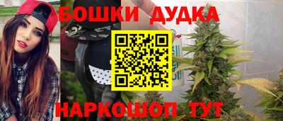 шишки Новодвинск
