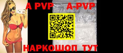 шишки Новодвинск