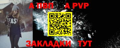 шишки Новодвинск
