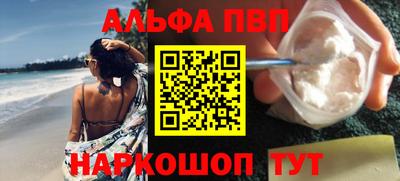 шишки Новодвинск