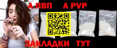 шишки Новодвинск
