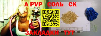 шишки Новодвинск
