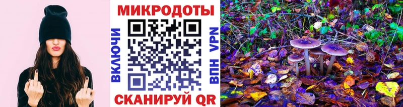 mega как зайти  Новошахтинск  Галлюциногенные грибы Cubensis 