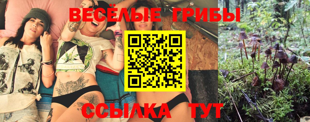 Галлюциногенные грибы прущие грибы Новошахтинск