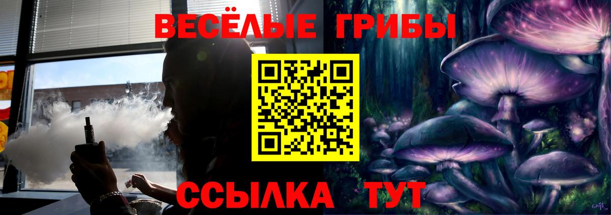 Галлюциногенные грибы ЛСД  Вход с VPN  Новошахтинск 