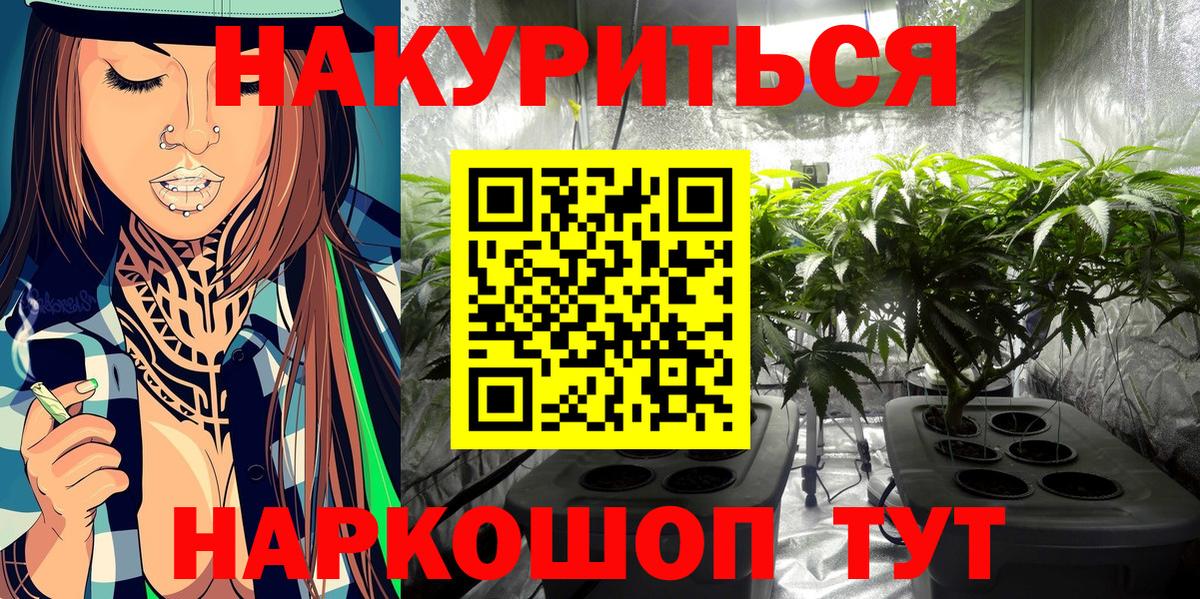 Новошахтинск  Бошки Шишки план  Вход с VPN  Марихуана White Widow  Марихуана план 